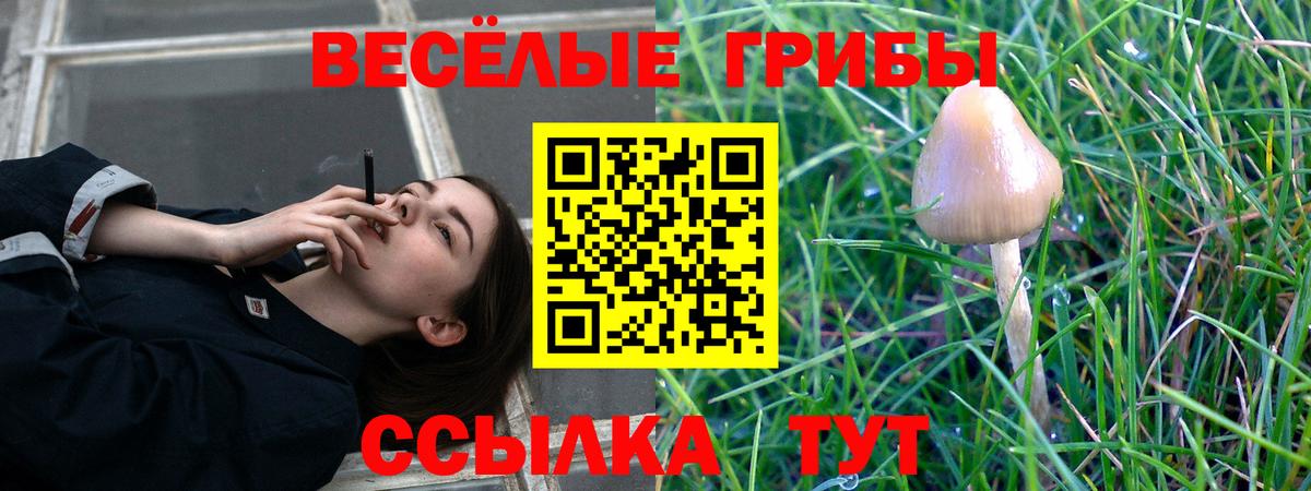 Корсаков  Галлюциногенные грибы MAGIC MUSHROOMS  Псилоцибиновые грибы прущие грибы  Вход с VPN 
